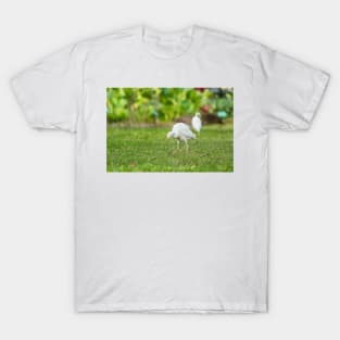 Cattle Egret 2 + 2 T-Shirt